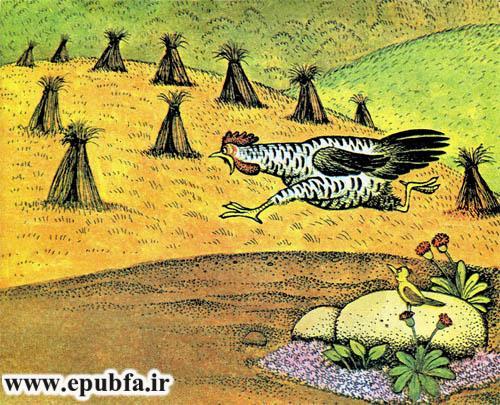 آن کس که نداند-کتاب قصه تصویری حیوانات مزرعه-کتاب قصه مصور کودکان-ایپابفا